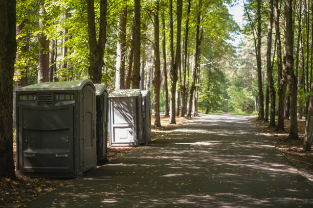 Best Luxury portable toilet rental  in Glenview, IL